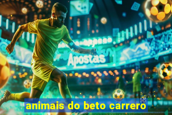 animais do beto carrero